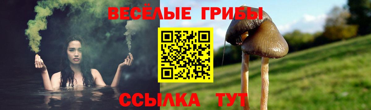 Галлюциногенные грибы MAGIC MUSHROOMS  Вход с VPN  Тула 